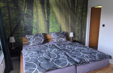 FeWo Waldseeblick Hahnenklee - Foto 6