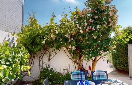 Westerbergen Rita's Haus am Meer - Foto 20