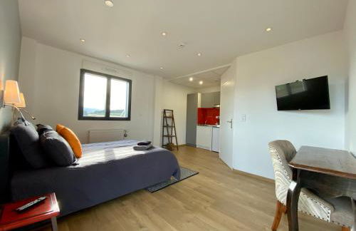 Ecole de pilotage ULM LOZERE - Foto 9