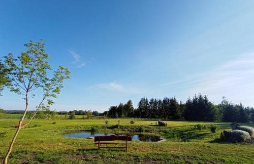 DOM w JESIONACH Brajniki - działka 1 HEKTAR - Photo 5