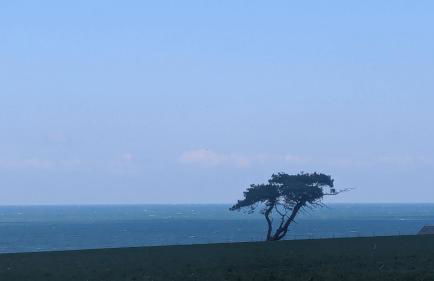 L'idylle - maison a la mer - Foto 19