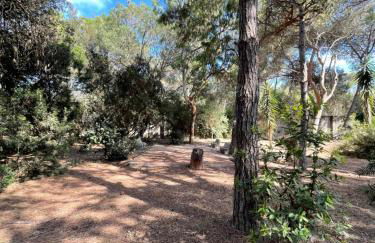 Villa Emma - Foto 35