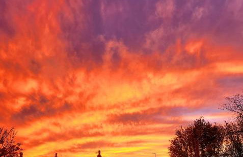 Bespoke Luxury Self Catering Dog Friendly Accommodation - Foto 44