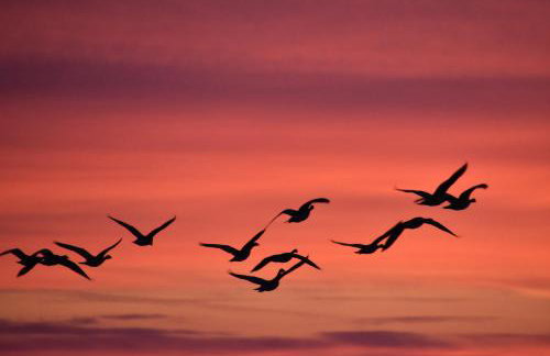 Fewo Nordseeblick - Foto 34