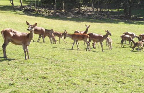 Fuchsmichelhof 4 - Foto 42