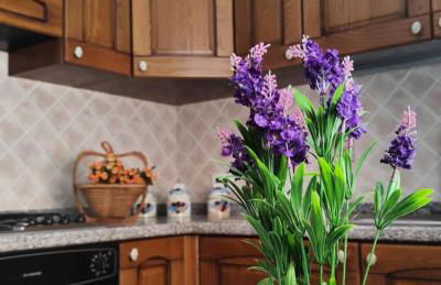 La Margherita - Casa vacanze - Foto 3