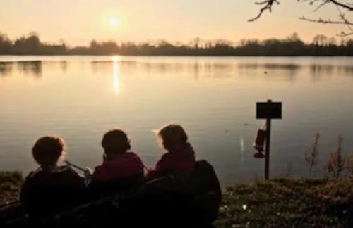 Carp's Rise Cottage - Foto 23