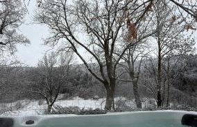 Le Domaine Belinay - Photo 7