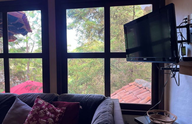 Cabaña El Roble Mazamitla - Foto 23