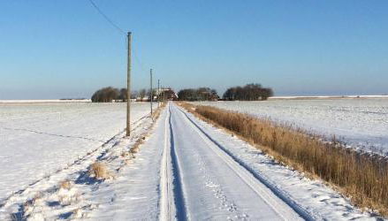 Tetenshof für Pferdeliebhaber - Photo 2