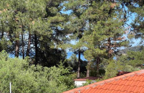 Miro & Lana vacation home - Photo 15