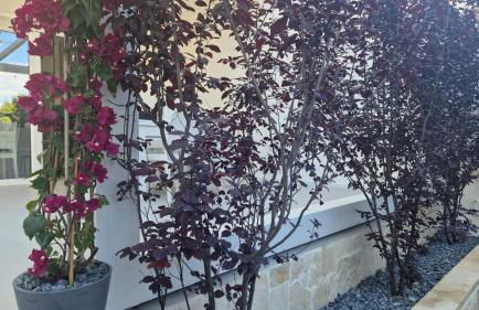 CASA VACANZA ANNA FRANK - CAMPOMARINO di MARUGGIO (TA) - Foto 37