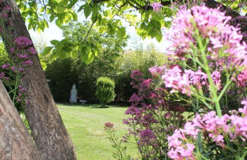 L'Islo Bamboo - Foto 12