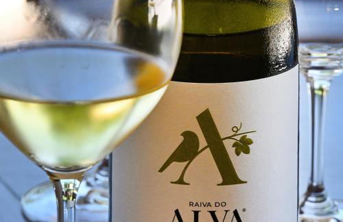 Quinta da Aldeia Nova - Foto 20