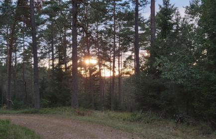 Haus Sonnenburg - Foto 39