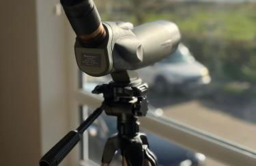 Sea Views Oddfellows - Foto 35