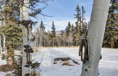 Cabin On 13 Acres With A Pool Table And Jacuzzi Tub - Foto 80
