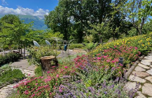 Agriturismo Colpo di Fortuna - Foto 20