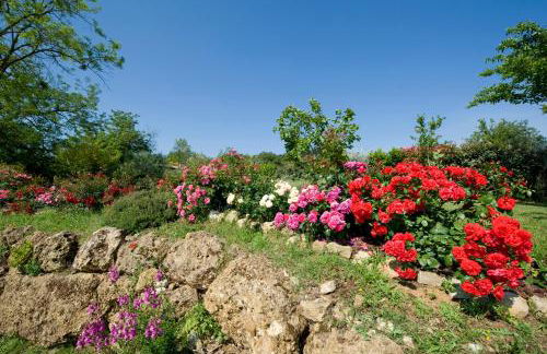 Fienile di Colletalli - Foto 15