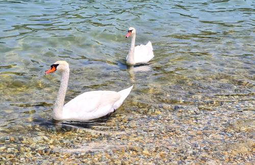 Babaloo Beach Apartments - Photo 53