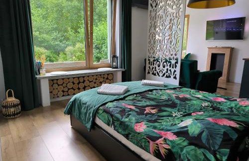 Blu Raj - domy w Sudetach - Foto 2