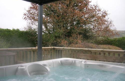 Bevan House with Hot Tub in Mid-Wales - Photo 6