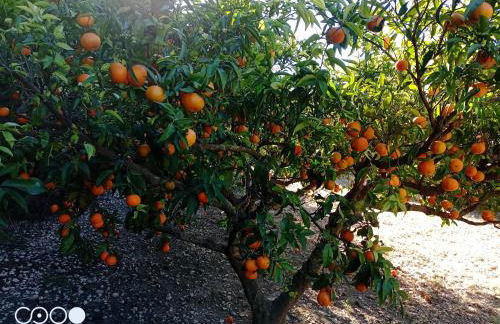 Casa Rural COMPLEX MASIA DEL TREMENDO y Agroturismo - Foto 49