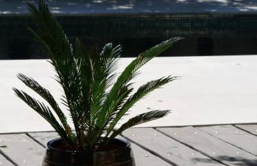 Dépendance de bastide Casa Amarelia avec piscine patio parking 4 étoiles - Foto 13