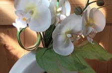 Le Flory'lège - Foto 19