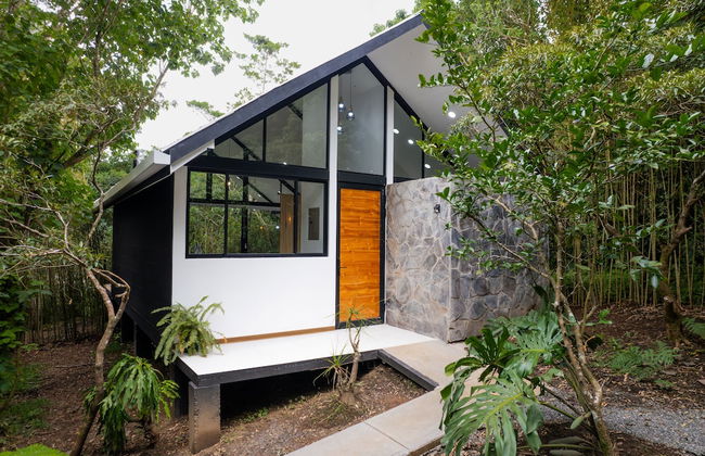 Floresta Monteverde - Foto 2