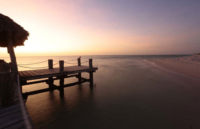 Celestún Day Trip - Photo 2