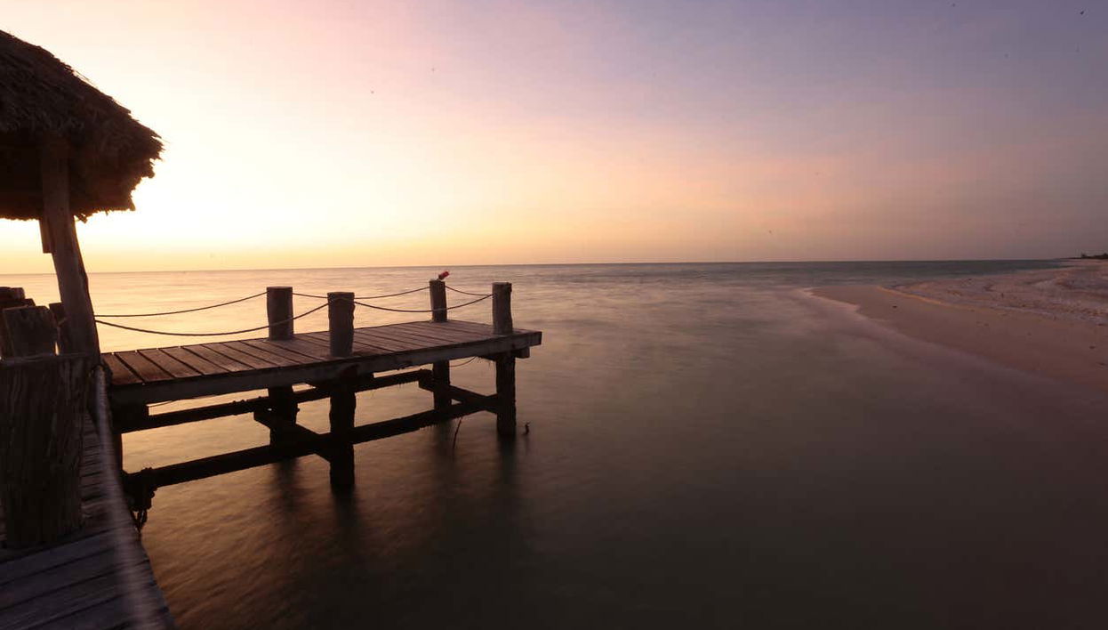 Welcome to the Celestún reserve!