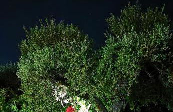 Elia Guesthouse - Kissamos - Foto 42