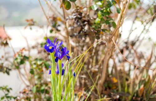 Conchiglia Village House - Foto 35