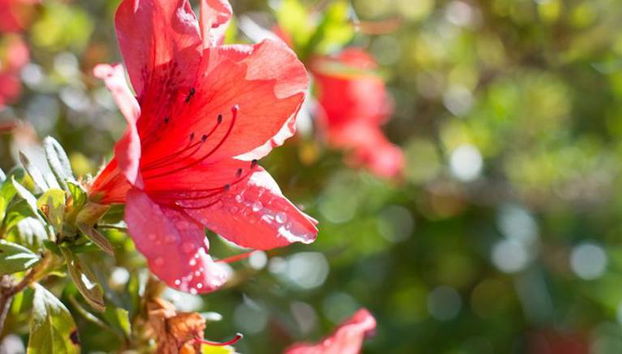 Casa Da Piedade - Photo 3