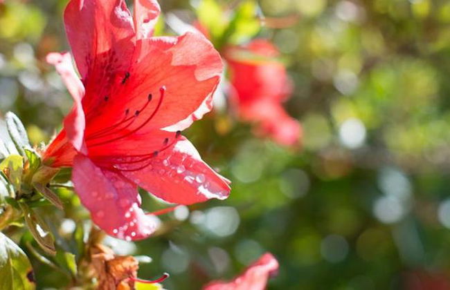 Casa Da Piedade - Foto 3