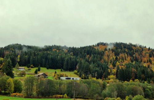Le Vivaldi, Au cœur du massif vosgien avec terrain de pétanque - Foto 35