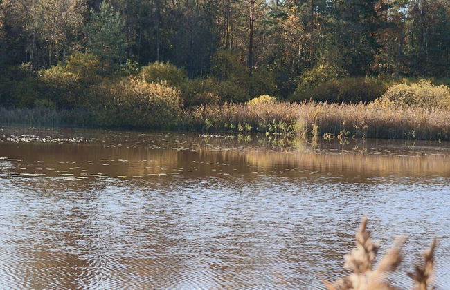 4 Person Holiday Home in Skanes-fagerhult-by Traum - Foto 19