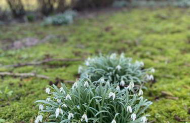 Deich Winde 9.2 - Foto 16