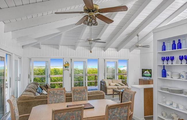 Palmetto Palms - Foto 5