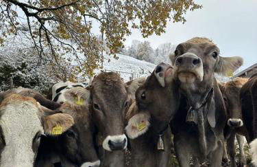 Wald Lounge - Foto 65