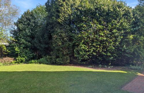 Ferienhaus im Zentrum von Augustfehn - Foto 18