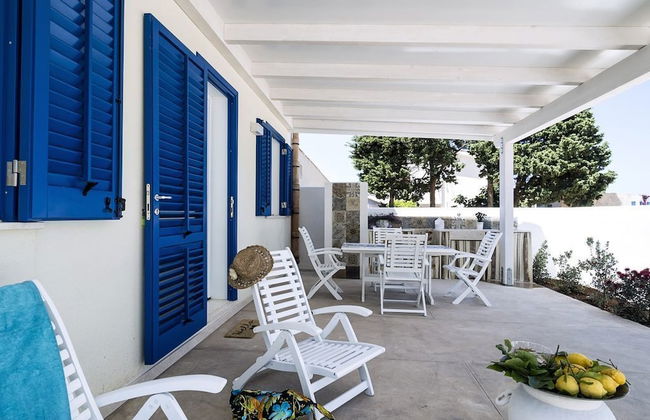 Spuma di Mare - Riccio - Foto 10