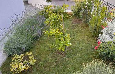 Villa Zita Lovran - Foto 4