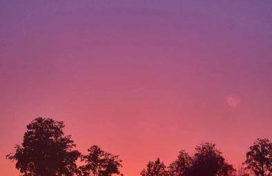 Domek u Asi - Foto 4