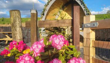 Bwthyn Plas Hafod Cottage - Foto 5