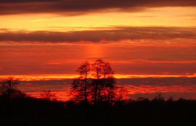 Holiday Apartment Zur Heide - Foto 10