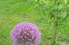 FeWoFreiZeit - Foto 12