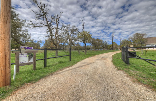 The Elizabeth Haus Lower - Photo 15