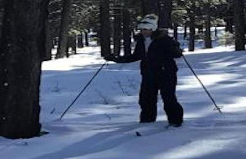 Farm House Cabin, Patio, TV Room, Games, BBQ, Campfire - Foto 20